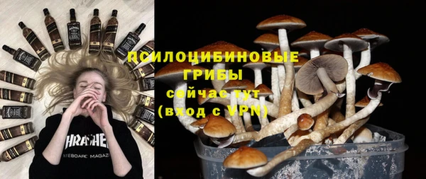 mdpv Лабытнанги
